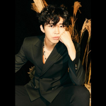 Lim Young Woong Im Hero concept photo 6