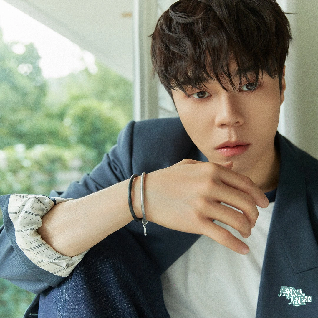 Suin