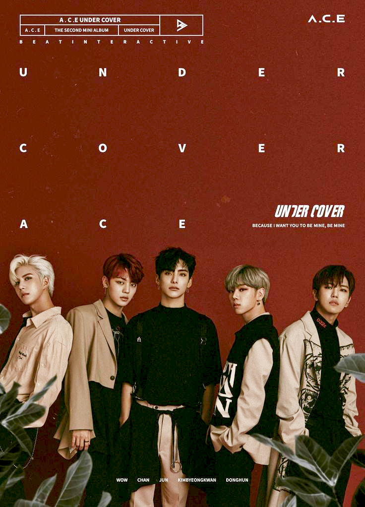 【全員直筆サイン入】A.C.E UNDERCOVER アルバム 全員直筆サイン入】A.C.E UNDERCOVER アルバム - メルカリ