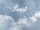 BEAST Highlight cover.png