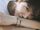 NCT WISH Jaehee Dunk Shot concept photo 5.webp