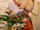 SF9 Cha Ni 2023 Season's Greetings concept photo 2.png
