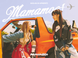 Mamamoo MOOMOO Tie Dye Rainbow Fandom Name  Poster for Sale by