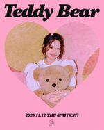 Natty Teddy Bear concept photo (4)