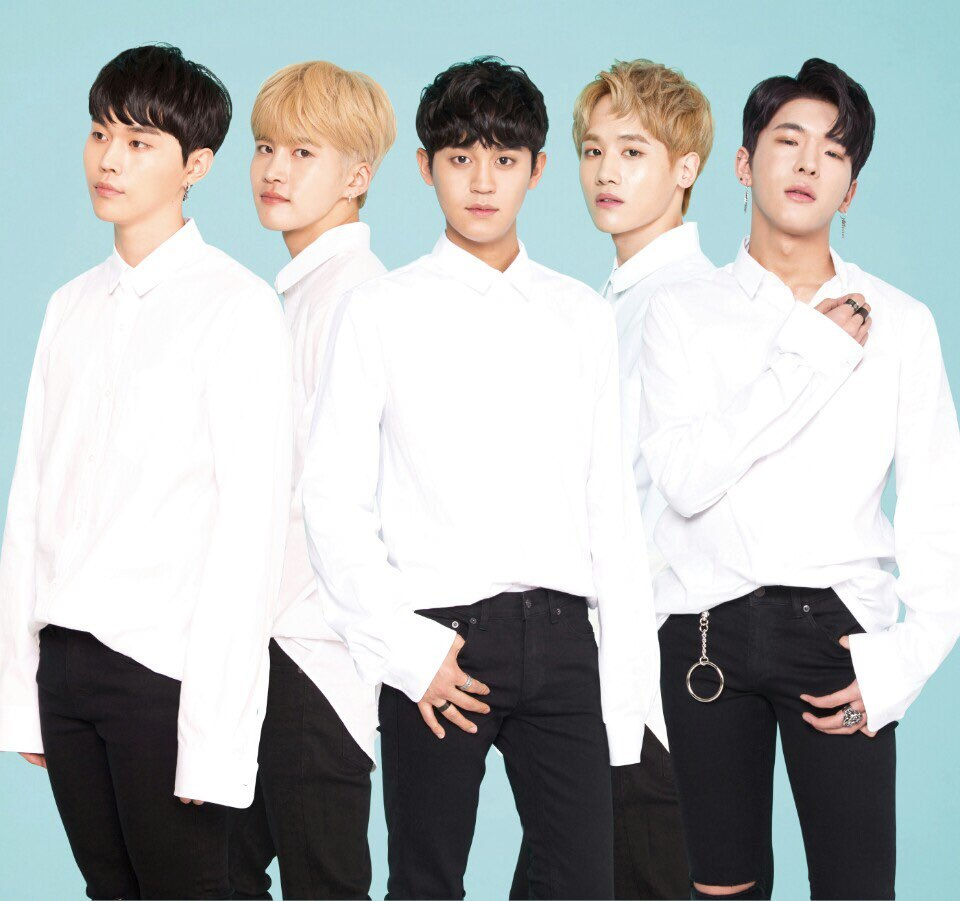 ELVIN CREW | Kpop Wiki | Fandom