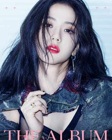 ì§€ìˆ˜ ë¸