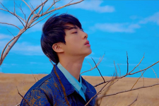 Love Yourself: Tear (1)