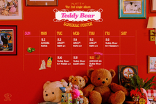 Natty Teddy Bear comeback scheduler