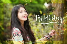 Happy Birthday IU (2016)