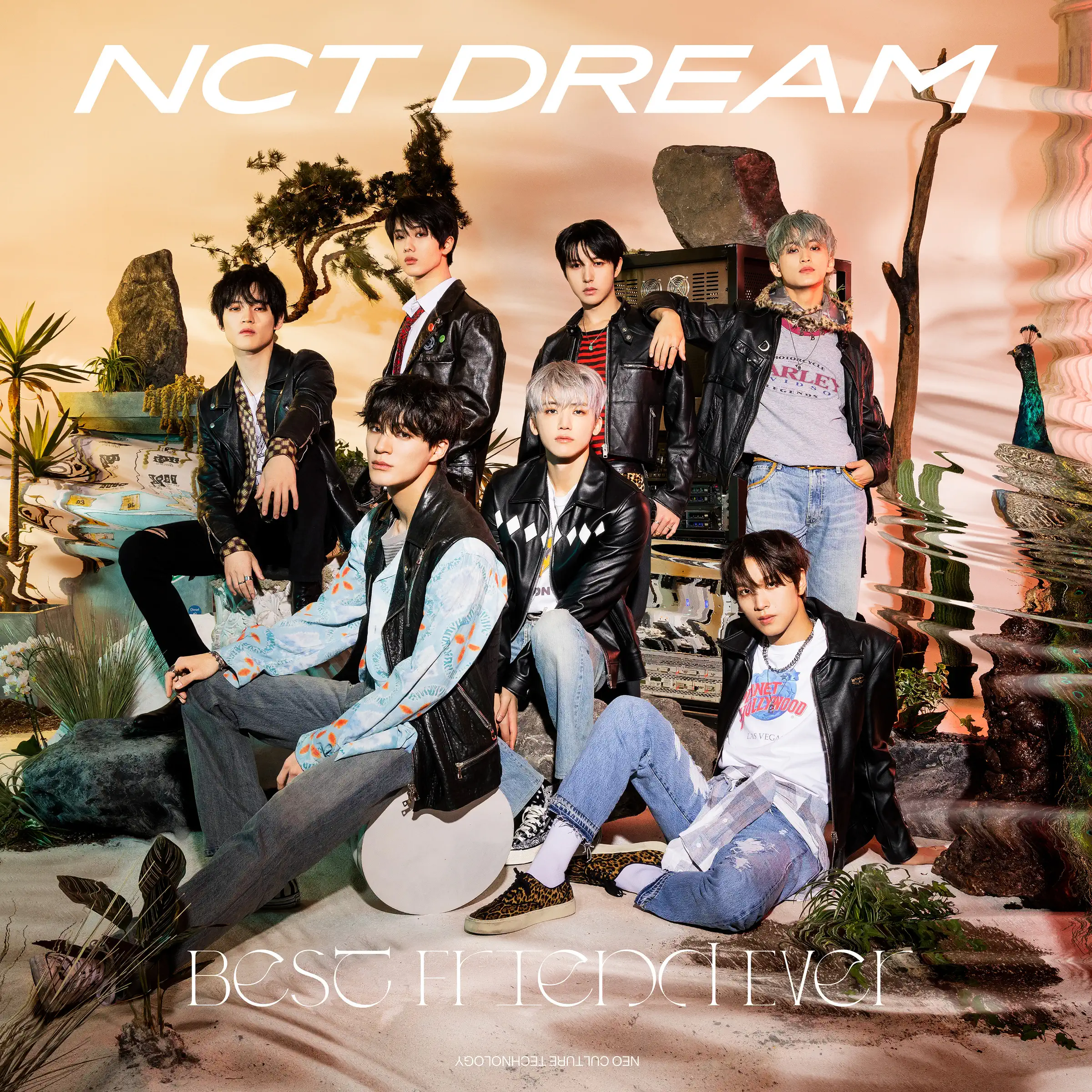 公式] EVERLAND x SMTOWN SEASON.2 - NCT AR PASS | eBay