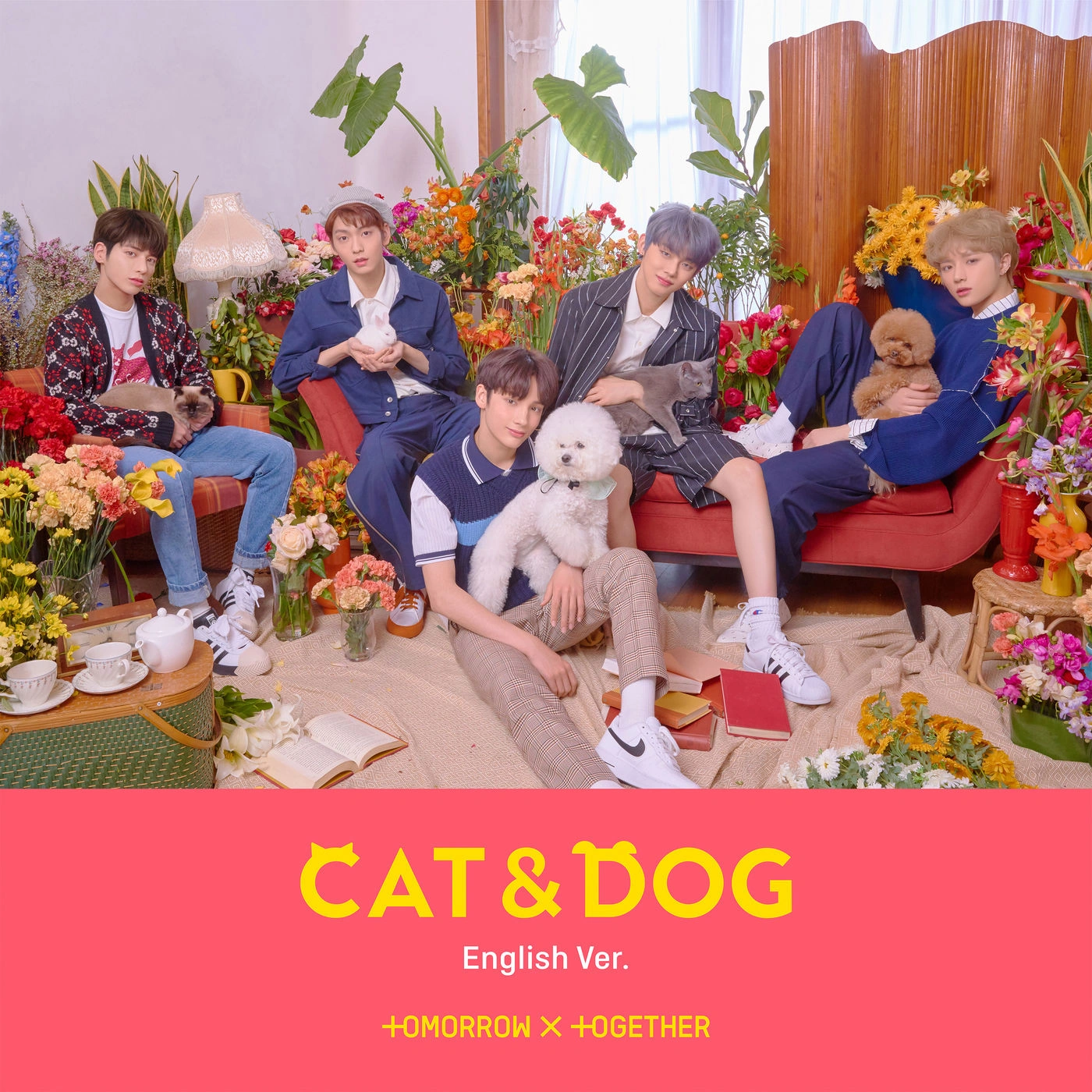 Cat & Dog | Kpop Wiki | Fandom