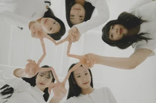 Burvey | Kpop Wiki | Fandom