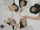 Burvey GEN3 group profile photo 6.png