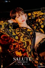 Salute (3)