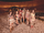 STAYC ...L concept photo (8).png
