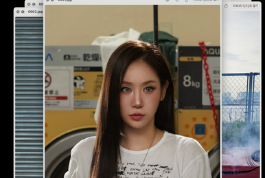 VANITAS : FLEUR / JIYOUNG KIM（金智暎） Kim Jiyoung, Born 1982, (Paperback) - Walmart.com