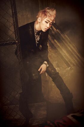 ZICO (JI HO) BLOCK B 500X750