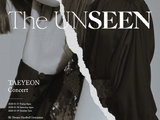 Taeyeon Concert - The Unseen