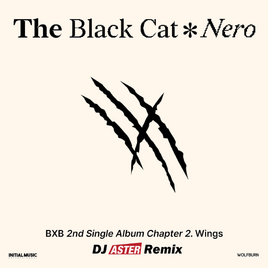 BXB The Black Cat Nero (ASTER Remix) album cover