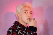 BTS RM Map of the Soul Persona concept photo 4