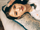 Izna Mai Sign concept photo 4.webp