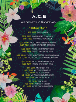 A.C.E Adventures in Wonderland | Kpop Wiki | Fandom