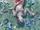 BoA para Better 6.png