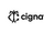 Cignature offical logo Horizontal ver..png