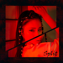 JK Split album cover