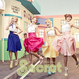 Secret Shy Boy cover