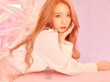 Mei Qi