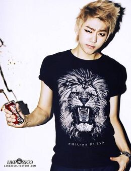ぶらび ZICO うちわBlock.BblockbBlockbuster KOZ ぶらび ZICO うちわBlock.BblockbBlockbuster KOZ