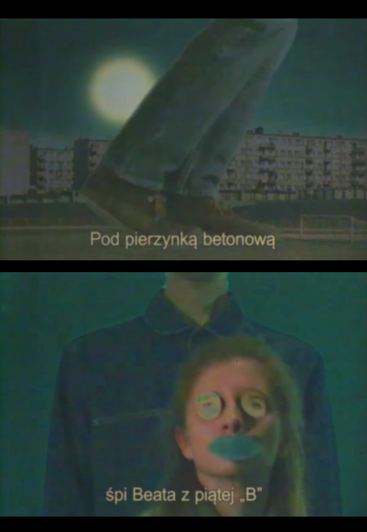 Beata | Kraina Grzybow Wiki | Fandom