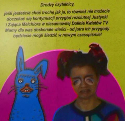 Dolina Kwiatów TV | Kraina Grzybów Wiki | Fandom