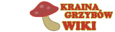 Kraina Grzybow Wiki | Fandom