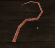 The rat tail found in its location spot.