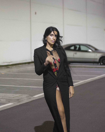 Sevdaliza Krgkgm Wiki Fandom