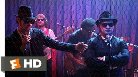 Rawhide - The Blues Brothers (5 9) Movie CLIP (1980) HD