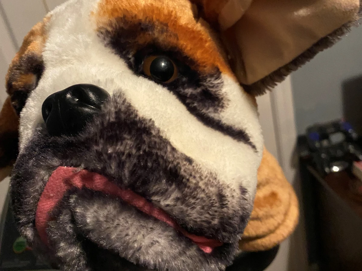 dawg pound hoodie nike