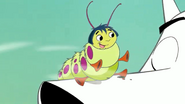 BugStrife P01 00054