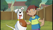 Kevin and Krypto want to play football with Andrea Sussman