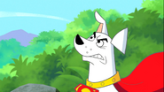 Krypto angry