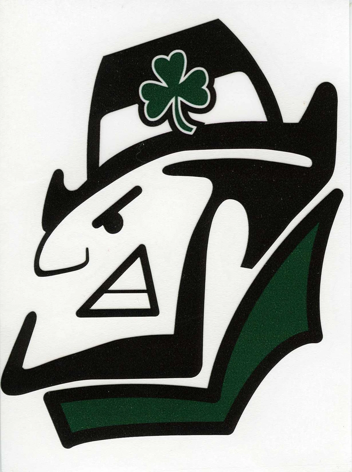 2020 Chapman Fighting Irish Football Team Kansas High School
