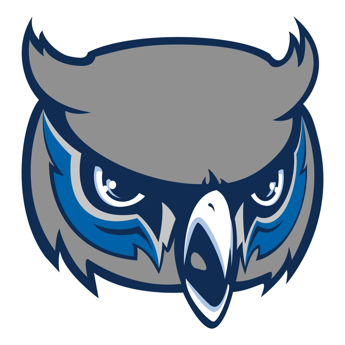 2023 Olathe West Owls Volleyball Team Kansas High School Athletics
