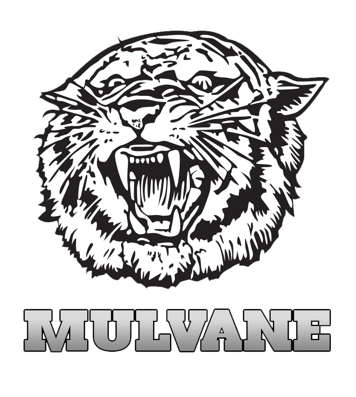 2021 Mulvane Wildcats Softball Team Kansas High School Athletics Wiki