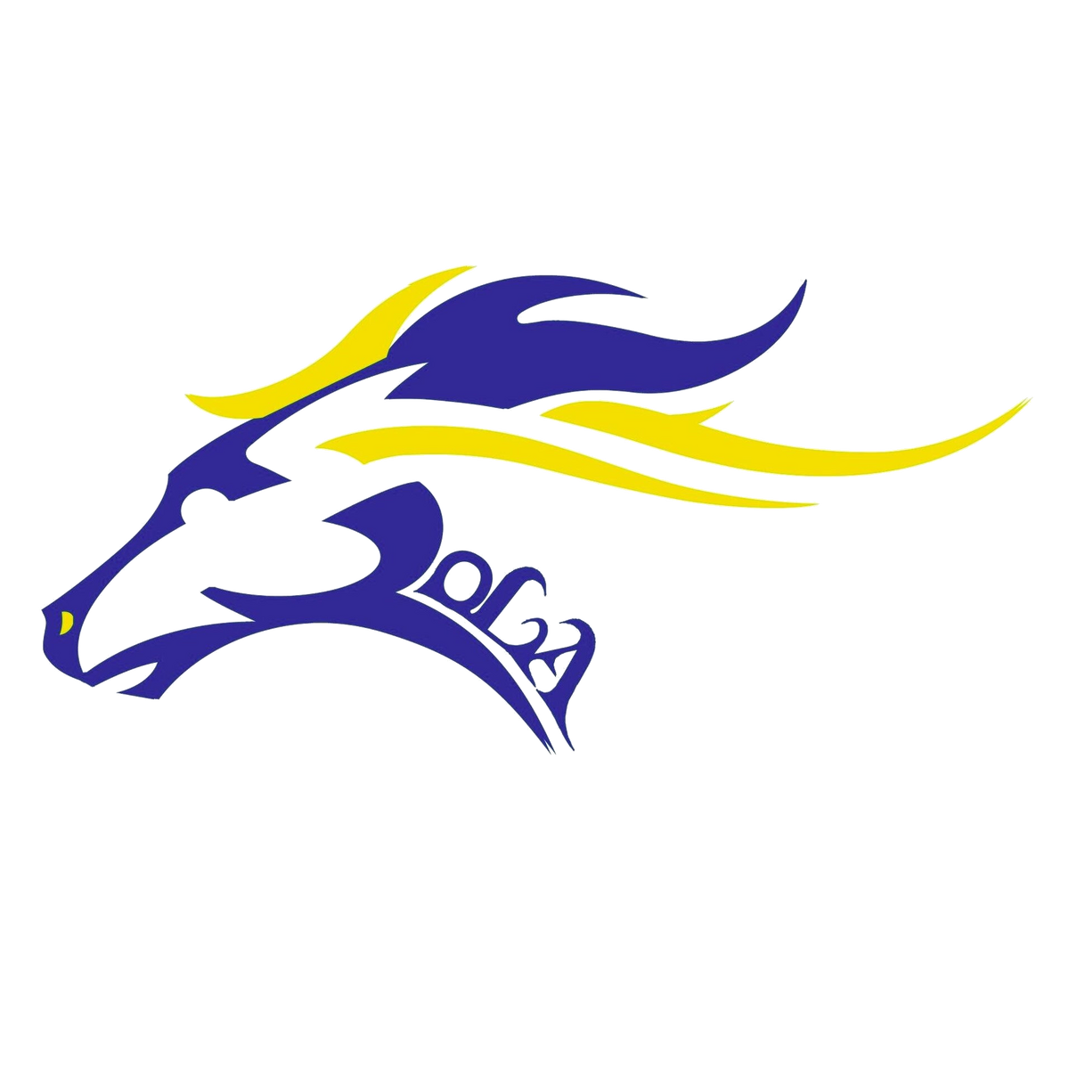 2023 Iola Fillies Volleyball Team | Kansas High School Athletics Wiki