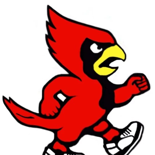 2020 Wetmore Cardinals Football Team Kansas High School Athletics