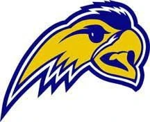 2019 Olathe South Falcons Football Team | Kansas High School Athletics