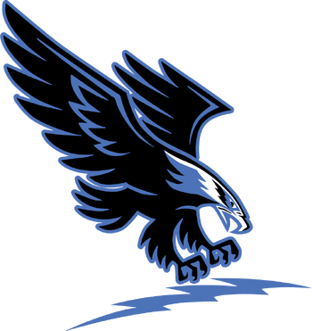 2022 Wheatland-Grinnell Thunderhawks Football Team | Kansas High School ...