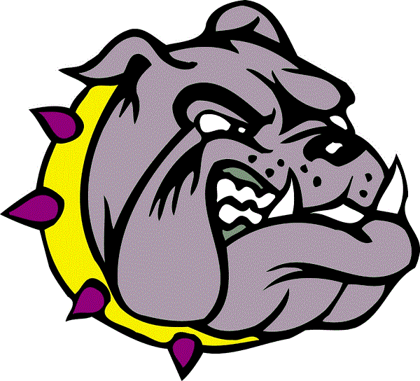 2024 McLouth Bulldogs Volleyball Team Kansas High School Athletics Wiki Fandom